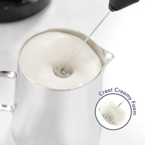 Is the New England Stories MF-BLACK-H1 the best milk frother? Detailed reviews here!