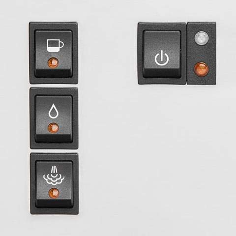 Uncover Why the Rancilio Silvia Espresso Machine Stands Out in This Detailed Review