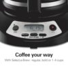 Hamilton Beach Programmable Coffee Maker Review Unveils Features and Brewing Performance
